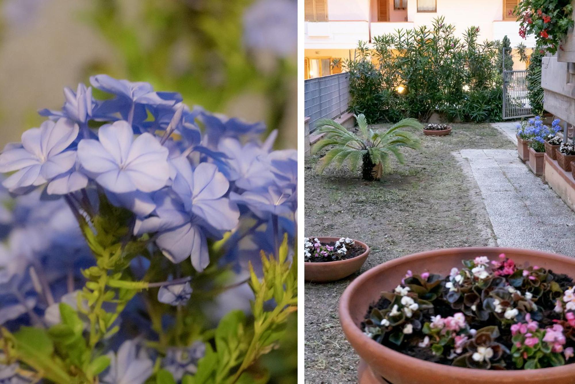 Il Giardino Apartment Civitanova Marche Bagian luar foto